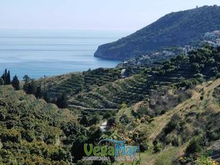 Terreny residencial  De los negros. Se vende finca con cortijo en la herradura