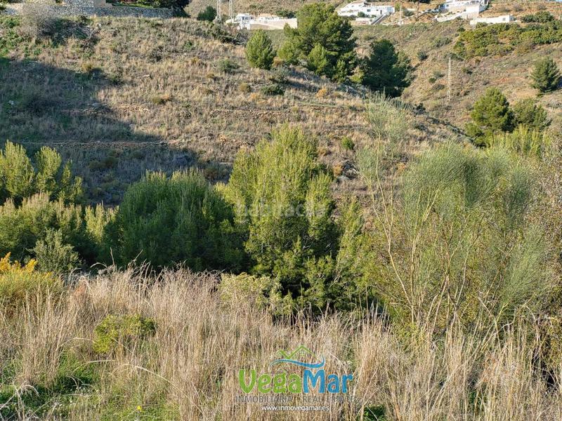 Foto c36fe7e8-eca3-40da-bd38-15ad16ab75ad. Terreny residencial a Cotobro Almuñécar