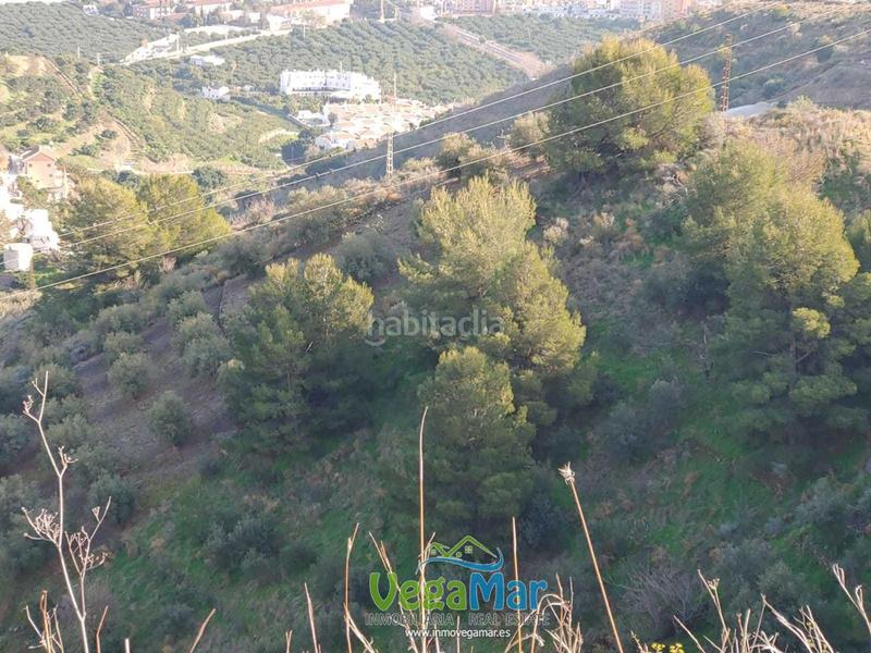 Foto d0e5362d-42c2-49a2-bcec-306705a330b4. Terrain résidentiel dans Cotobro Almuñécar