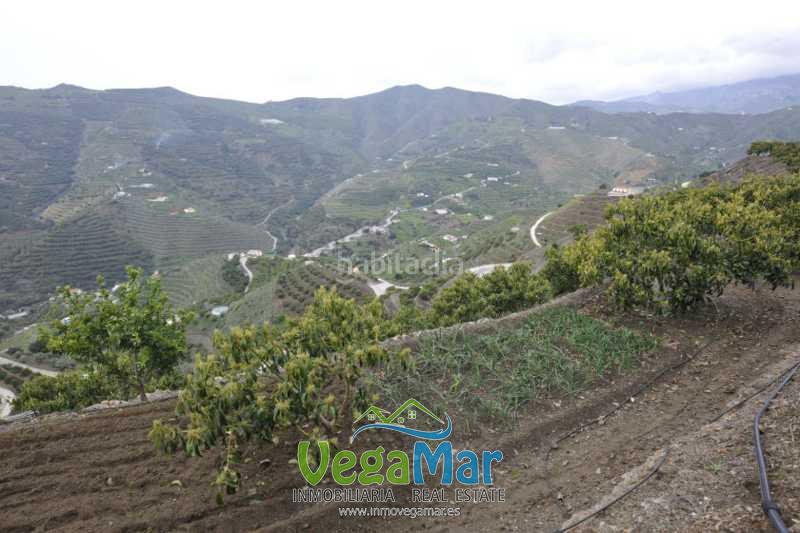 Foto 3212cb7e-e476-4e00-9ecc-12bb3eece039. Terrain résidentiel dans Almuñecar centro Almuñécar