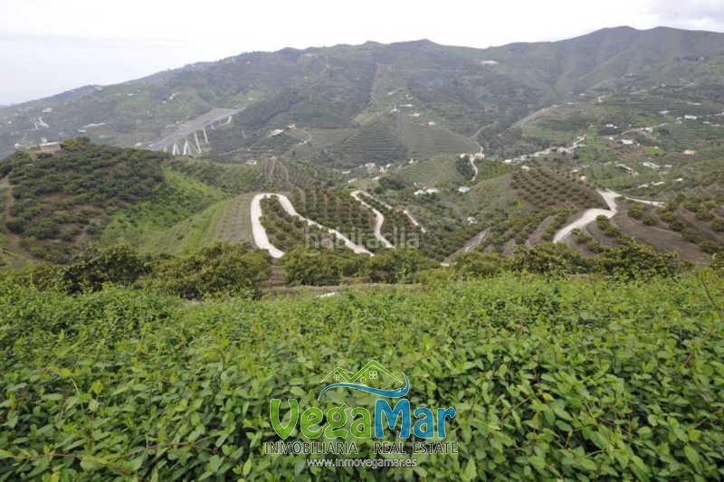 Foto 5efeeaac-b278-49d0-93a6-e8806bebab98. Terrain résidentiel dans Almuñecar centro Almuñécar