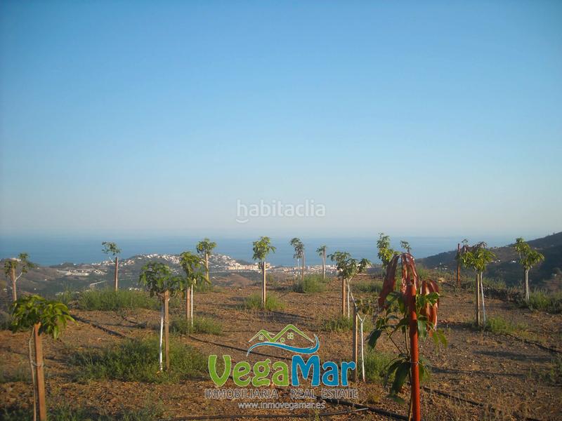 Foto 5fc898f0-5c27-4b62-b8d5-2a15de9f0f7c. Terrain résidentiel dans Almuñecar centro Almuñécar