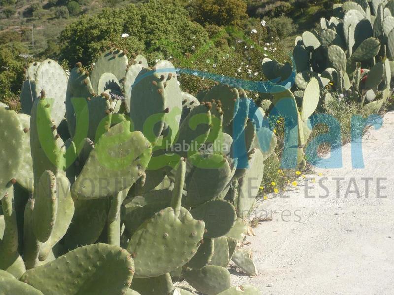 Foto 0381b7c0-28bf-4ccb-955d-0d9e48fe268f. Masía referencia f409
se vende cortijo en cazulas (otivar). esta parcela de 50.000m2 contiene jardines, frutales y olivos. en ella está en Otívar