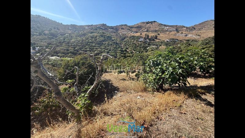 Foto 22fb17f1-f130-47d3-8c06-f97f80826dca. Terreny residencial a Velilla - Velilla Taramay Almuñécar