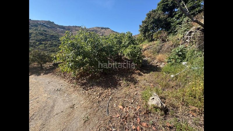 Foto 27f317df-8017-47a7-8083-6d3bd6c00717. Terreny residencial a Velilla - Velilla Taramay Almuñécar