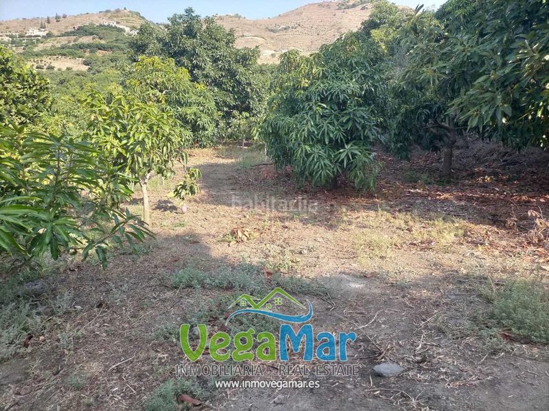 Foto 4df5d0d6-f174-4c4a-a972-4a08fe6bc520. Terreny residencial a Velilla - Velilla Taramay Almuñécar