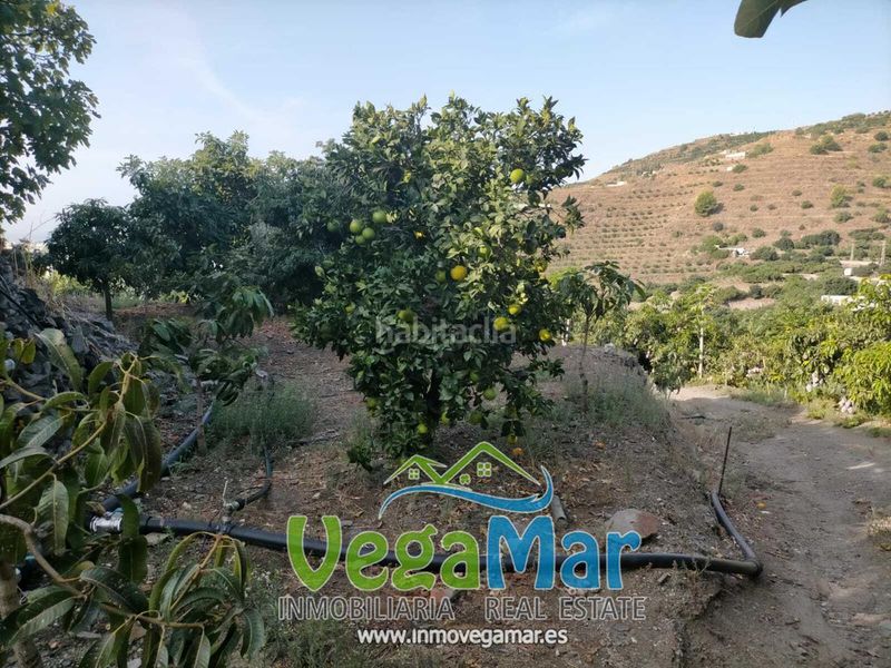 Foto e5870d2a-8397-431b-a530-598e0dbe6a91. Terreny residencial a Velilla - Velilla Taramay Almuñécar