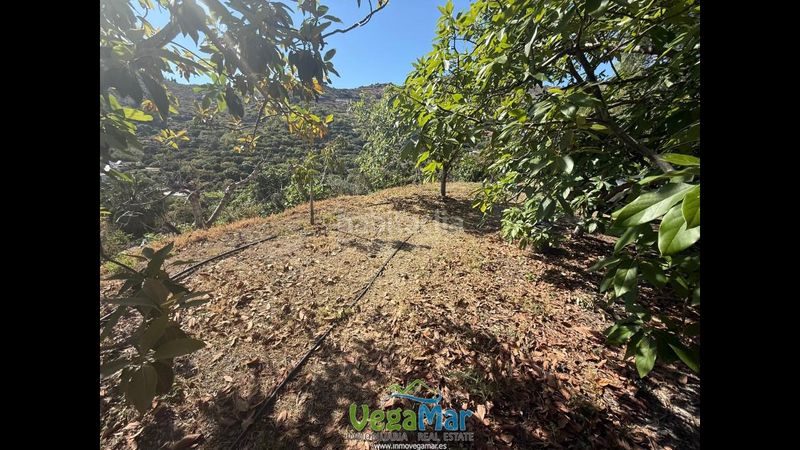 Foto f8237c33-c705-4df3-83f1-21b8444d032e. Terreny residencial a Velilla - Velilla Taramay Almuñécar