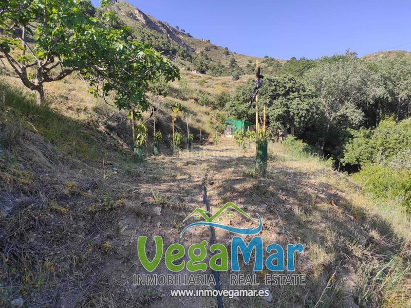 Foto 4f55622a-a238-4c1f-89fb-374b83eee32b. Masía se vende en El Rescate - Río Seco Almuñécar