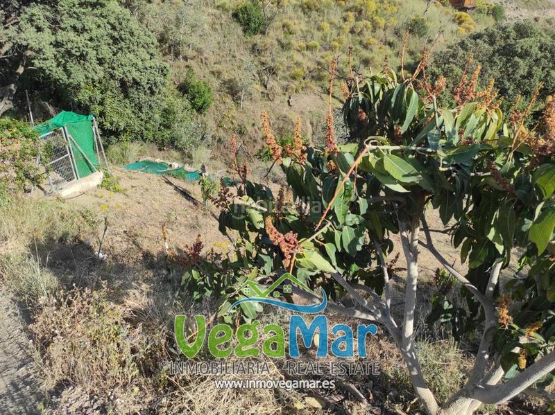 Foto e8e1ec9f-ab06-4d34-b4a8-124c47bbfd3c. Masía se vende en El Rescate - Río Seco Almuñécar