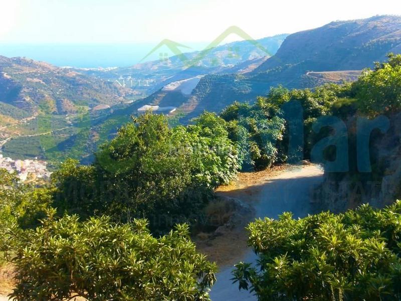 Foto 680f0ecf-6d62-4d3c-b750-04219a98c1db. Terreny residencial a Otívar