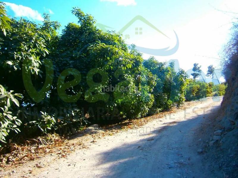 Foto 6d47d357-a7e7-473c-8c4c-da7619be5b1b. Terreny residencial a Otívar