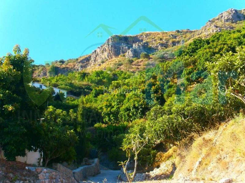 Foto f293350a-eab2-4499-a580-307afe5aee2f. Terreny residencial a Otívar