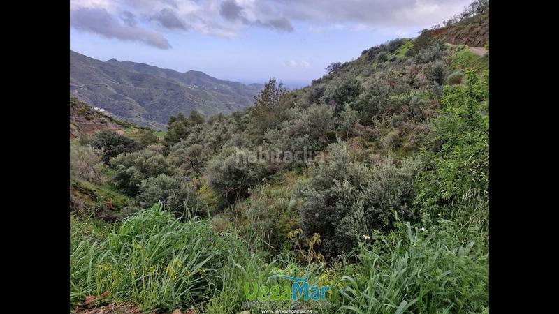 Foto 35a960fa-9d79-4508-9c3e-8d16ed97018b. Terreny residencial a El Rescate - Río Seco Almuñécar