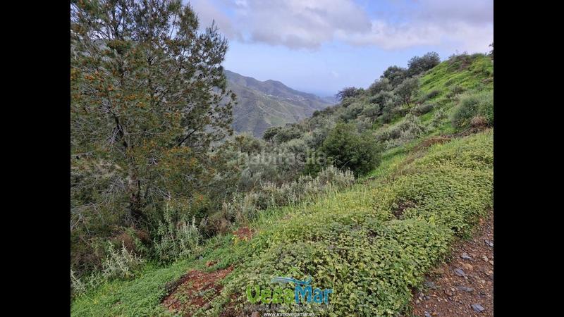 Foto 449e8a90-f53e-4b7b-a286-a248a60e8a68. Terreny residencial a El Rescate - Río Seco Almuñécar