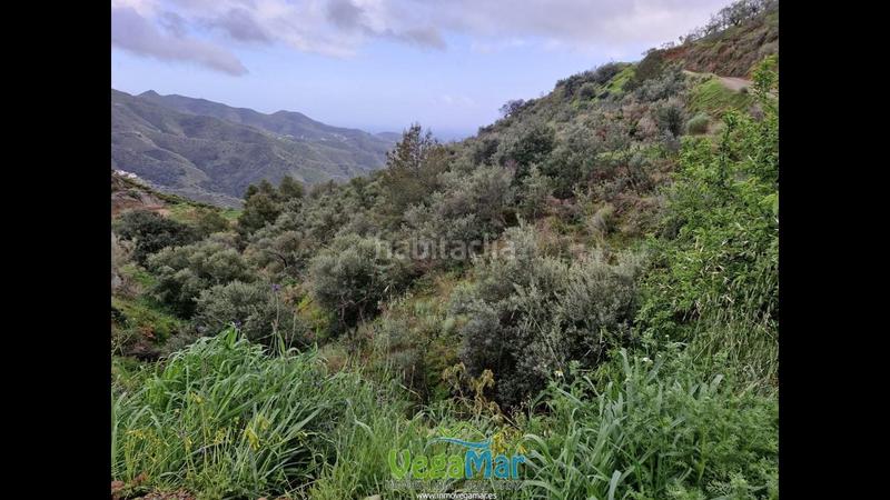 Foto 8bfaa185-66d7-422d-9f2a-7cff5708f7c9. Terreny residencial a El Rescate - Río Seco Almuñécar