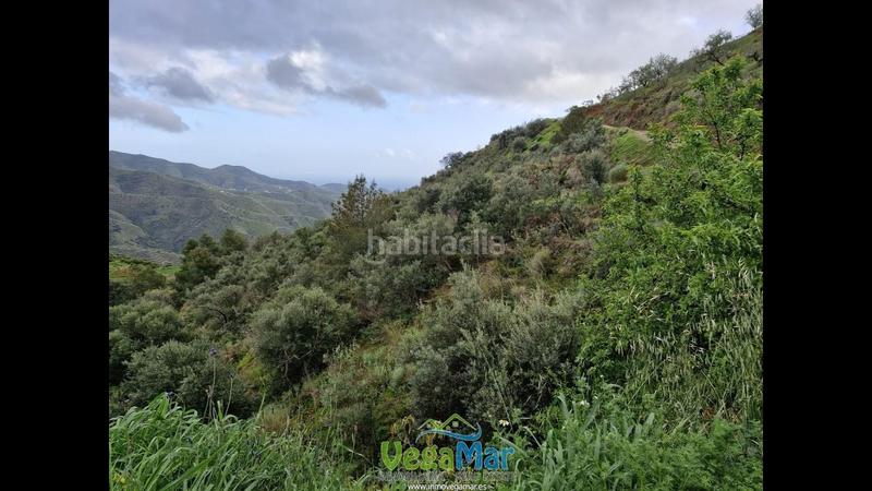 Foto 90b24dc2-0ffd-48ac-b64c-0dabe8d0d653. Terreny residencial a El Rescate - Río Seco Almuñécar