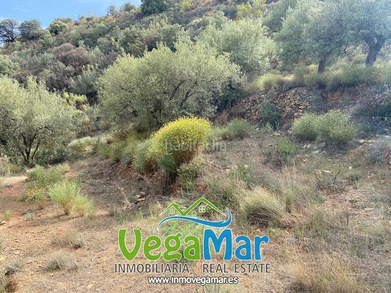 Foto 9a23add0-870a-4d23-a17d-d6f172bb7e92. Terreny residencial a El Rescate - Río Seco Almuñécar