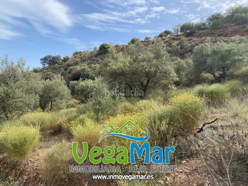 Foto a3ff92a8-63aa-49f6-a262-405d4a296d87. Terreny residencial a El Rescate - Río Seco Almuñécar