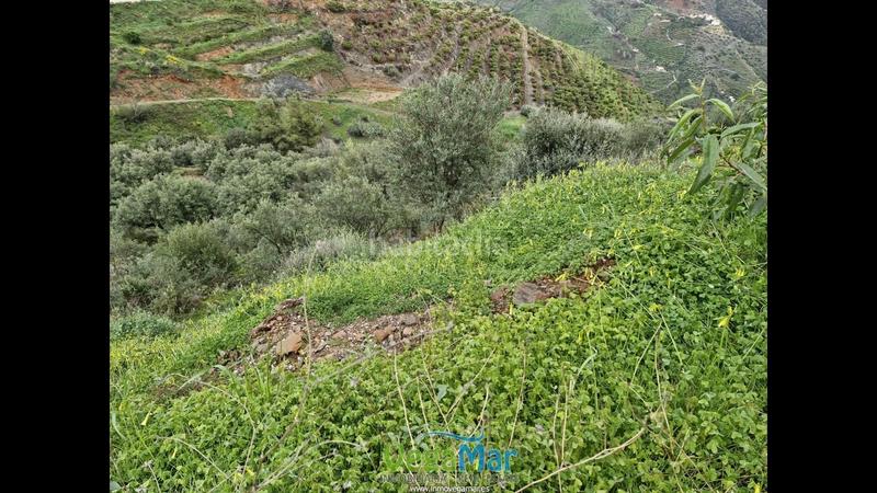 Foto a8106e08-4c05-49cf-8b47-400d591d45b0. Terreny residencial a El Rescate - Río Seco Almuñécar