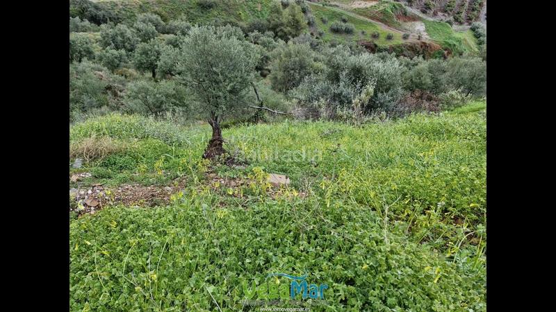 Foto abbd3093-c376-446c-bf1b-cd275cc37b21. Terreny residencial a El Rescate - Río Seco Almuñécar
