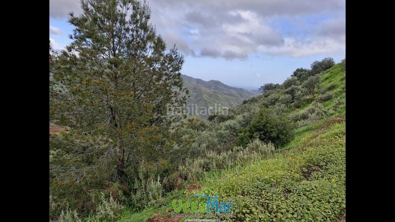 Foto c9401e1c-4e53-4cbc-8167-418ce378d359. Terreny residencial a El Rescate - Río Seco Almuñécar