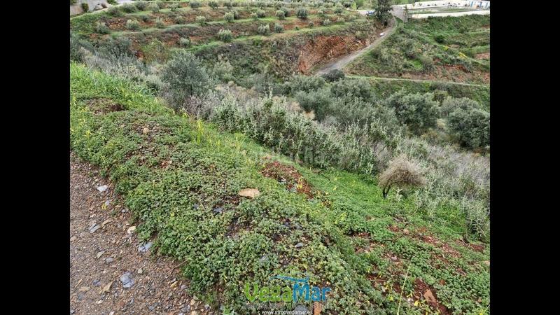 Foto c97850a8-2b9c-411d-8459-af35469a3e1a. Terreny residencial a El Rescate - Río Seco Almuñécar
