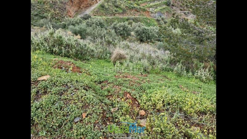 Foto dd384d61-4ef3-4259-b8cb-28851b74e26e. Terreny residencial a El Rescate - Río Seco Almuñécar