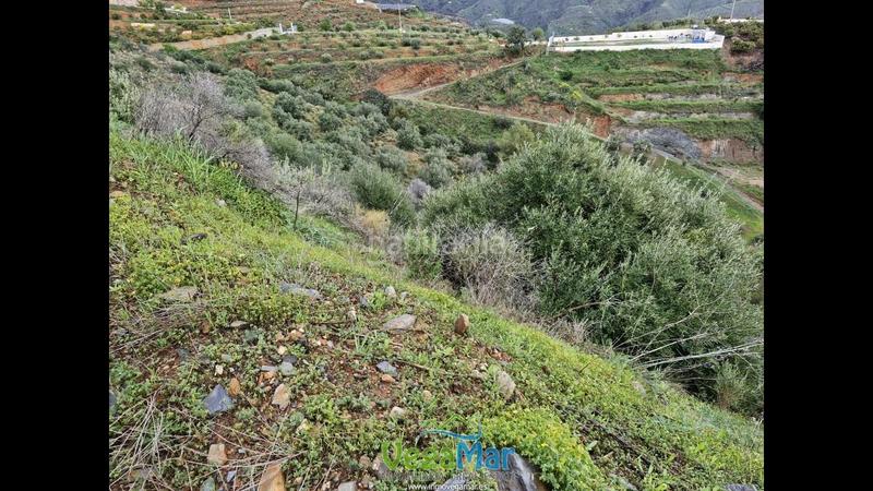 Foto dfa46598-dd0f-49a7-bf3c-e253b2c5c37a. Terreny residencial a El Rescate - Río Seco Almuñécar