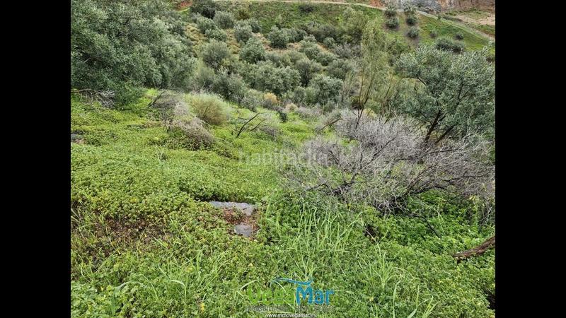 Foto e1fdb8ab-a543-4929-b7e1-be611b421760. Terreny residencial a El Rescate - Río Seco Almuñécar
