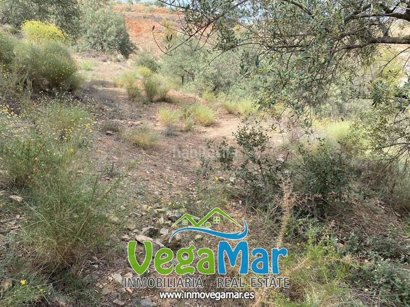 Foto e39f5081-7d21-49bc-885c-33ee8f432d38. Terreny residencial a El Rescate - Río Seco Almuñécar