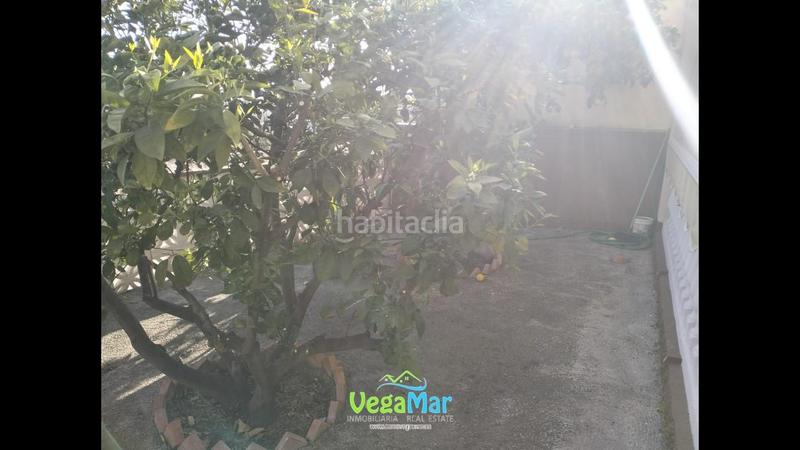 Foto 8451eb7b-2736-4003-ade8-2b2170556ba6. Piso se vende piso en almuñecar en Cotobro Almuñécar