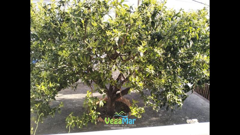 Foto c73964ce-15c3-4999-8ba1-b33ded83c8fe. Piso se vende piso en almuñecar en Cotobro Almuñécar