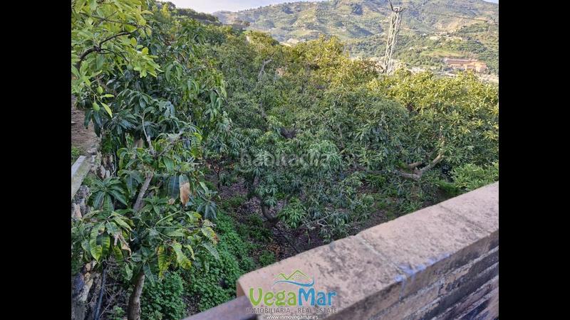 Foto 408be8aa-40cd-4a81-96c2-c4f4a6d0036a. Masía se vende maravillosa casa rústica en torrecuevas, almuñecar en Almuñécar