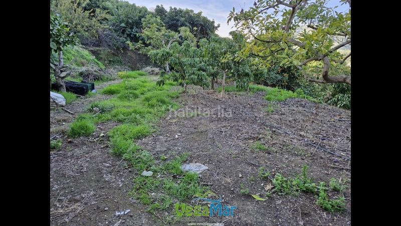 Foto 75714dab-2894-4c28-8dfe-9f1d1965f936. Masía se vende maravillosa casa rústica en torrecuevas, almuñecar en Almuñécar
