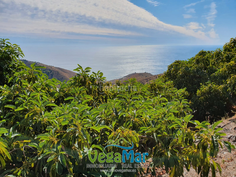 Foto 0efda33a-6bba-40c5-aa27-d3086616c56b. Terreno residencial en Monte los Almendros - El Pargo - Costa Aguilera Salobreña