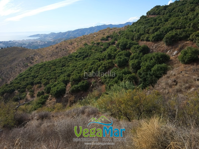 Foto 4a2f25cb-8876-4e18-bcb8-4c7b3e7a6770. Terreno residencial en Monte los Almendros - El Pargo - Costa Aguilera Salobreña