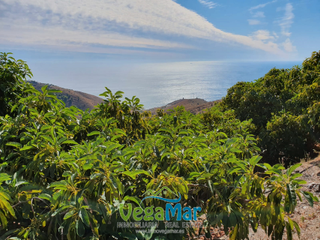Residential Plot  Alfamar