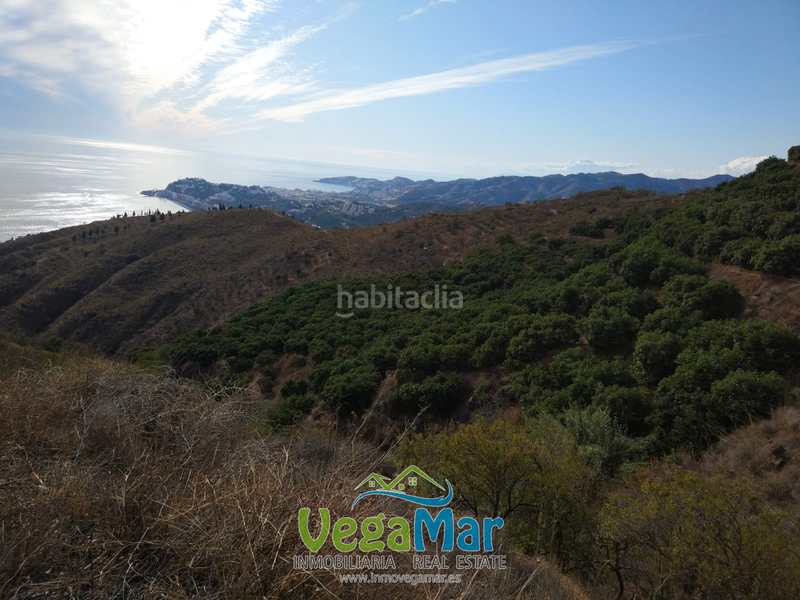 Foto 15043e4d-f9b9-42f0-a6a0-c845b9cdd888. Terreno residenziale in Monte los Almendros - El Pargo - Costa Aguilera Salobreña