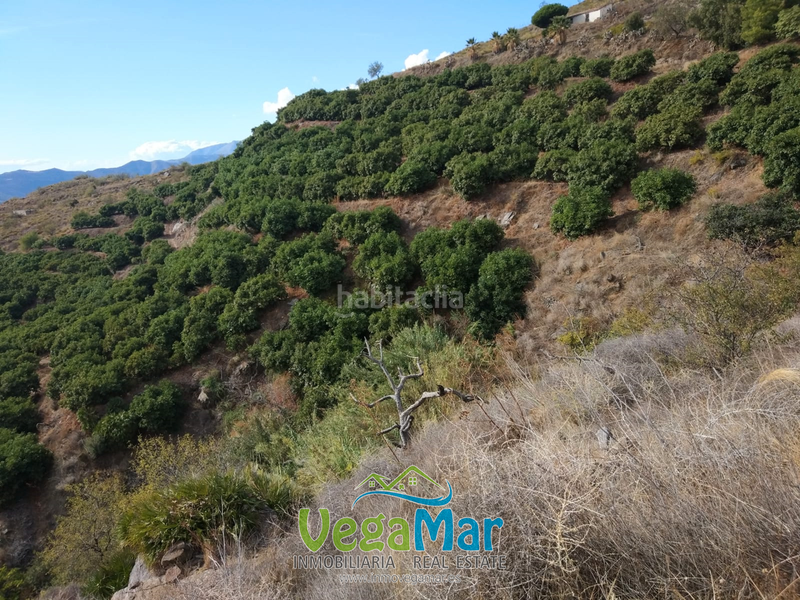 Foto 8e48b6bd-3da9-42c0-9dd8-d750a347f82a. Terreno residenziale in Monte los Almendros - El Pargo - Costa Aguilera Salobreña