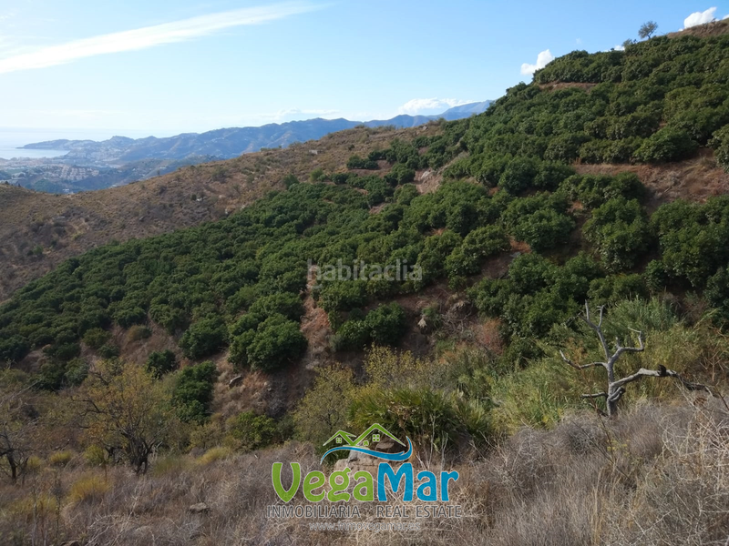 Foto d5c9eba5-1025-49fa-81c0-d1862eeb9d9b. Terreno residenziale in Monte los Almendros - El Pargo - Costa Aguilera Salobreña