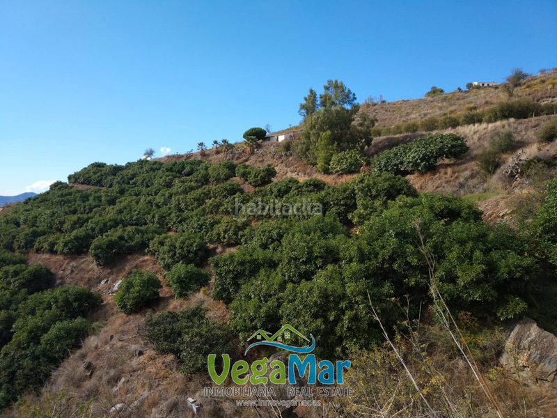 Foto 15444ac3-7430-45f1-b0ba-ee406fc369bc. Wohngrundstück in Monte los Almendros - El Pargo - Costa Aguilera Salobreña