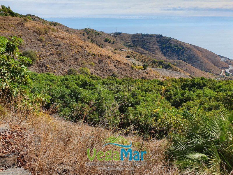 Foto 47a1bfaa-c303-4c03-baa4-457eb7d9011b. Wohngrundstück in Monte los Almendros - El Pargo - Costa Aguilera Salobreña