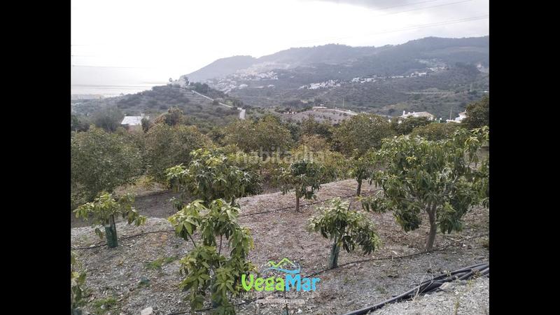 Foto 9f7b999f-47d8-40a1-b2dc-dc477a329603. House with pool in La Herradura Almuñécar