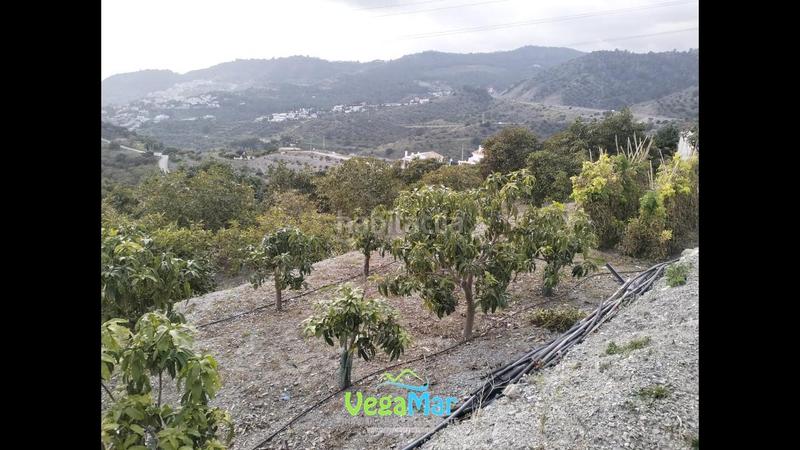 Foto a5f6d3f6-67da-425f-bb69-c8c35f658fc8. House with pool in La Herradura Almuñécar