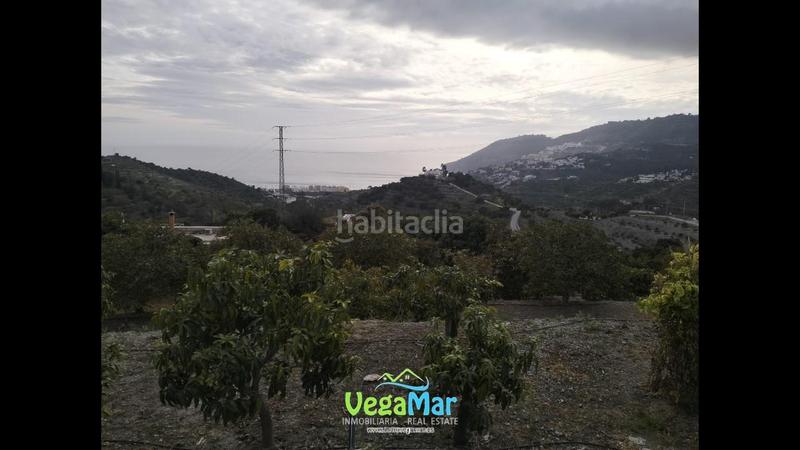 Foto fe4b8d47-25ec-405d-a5e1-bd80340fc620. House with pool in La Herradura Almuñécar