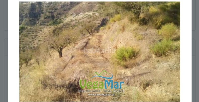 Foto bf3c0d98-5aa3-4f7d-9f88-bef016ed0be8. Terreno residenziale in Jete