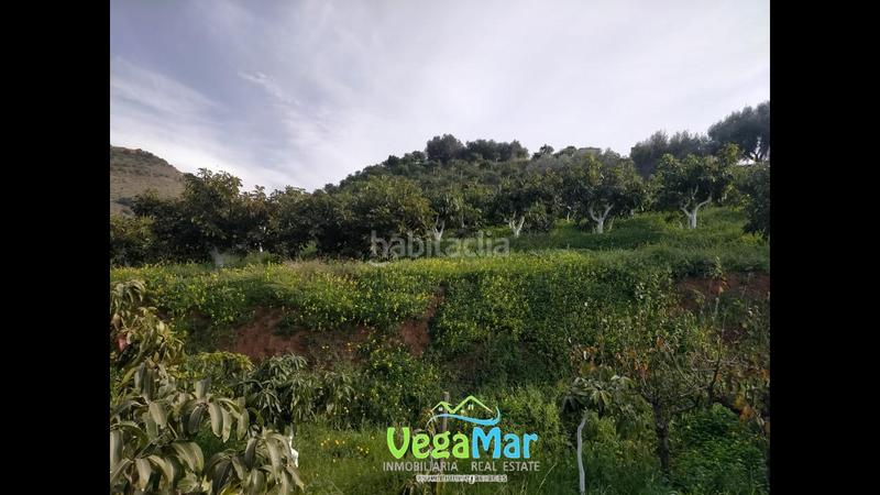 Foto e3f3b01c-8914-4d67-b0e3-82b22ec31627. Fondo rustico in El Rescate - Río Seco Almuñécar
