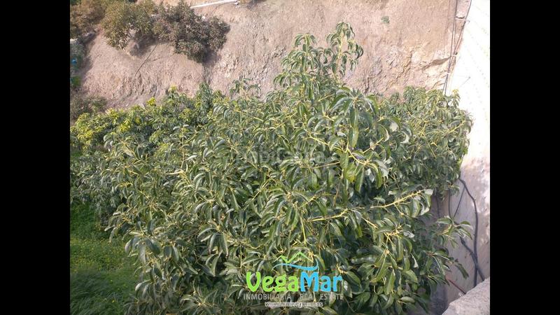 Foto 09b91444-d761-430e-bfbe-0fb0b627f4f8. Propriété dans El Rescate - Río Seco Almuñécar