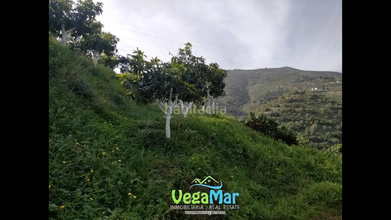 Foto 0be09d8d-80cf-4a69-b06d-de9e1a1e4a35. Propriété dans El Rescate - Río Seco Almuñécar